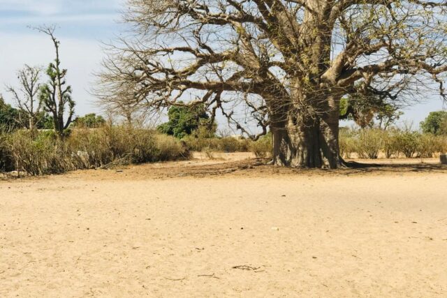 Propriété agricole 3502 m² à vendre – Notto Diobass, Thiès