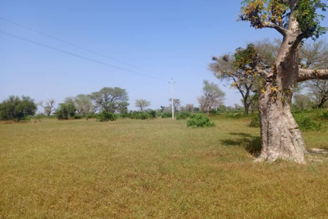 Terrain 8,28 ha à Vendre — Thiénaba, Thiès
