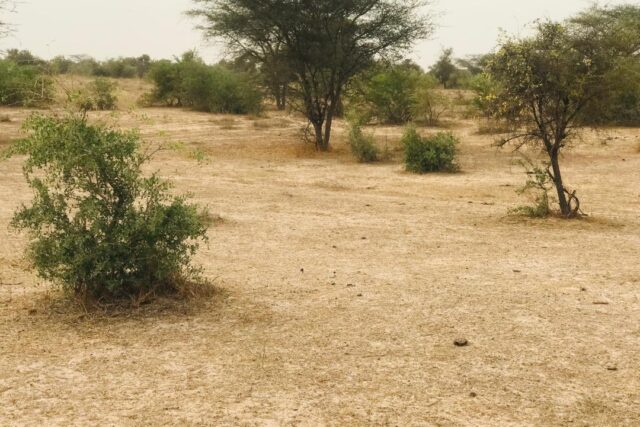 Terrain 9,25 ha à Vendre — Keur Samba Kane, Diourbel