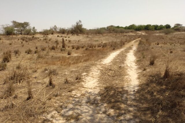 Terrain 9.889 m² à vendre – Darou Khoudoss, Thiès