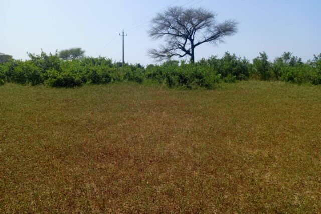 Terrain 8,28 ha à Vendre — Thiénaba, Thiès
