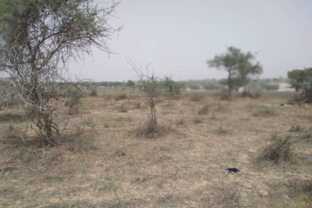 Terrain 9,22 ha à Vendre — Thieppe, Louga