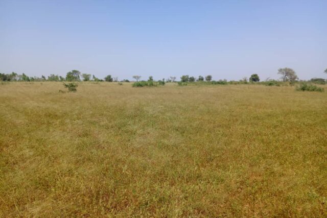 Terrain 8,77 ha à Vendre — Thiénaba, Thiès