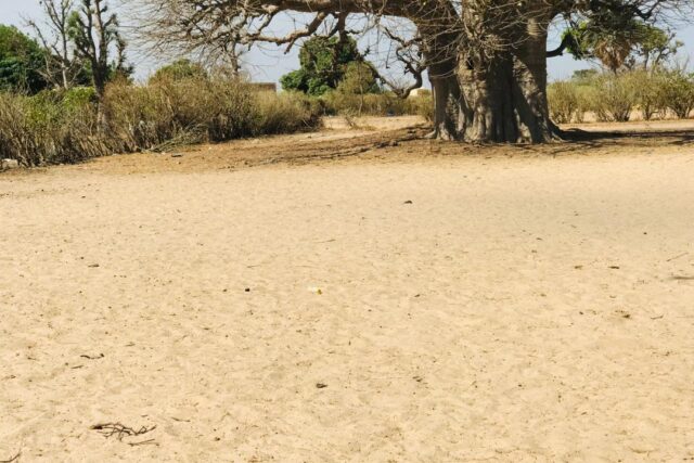 Propriété agricole 3502 m² à vendre – Notto Diobass, Thiès