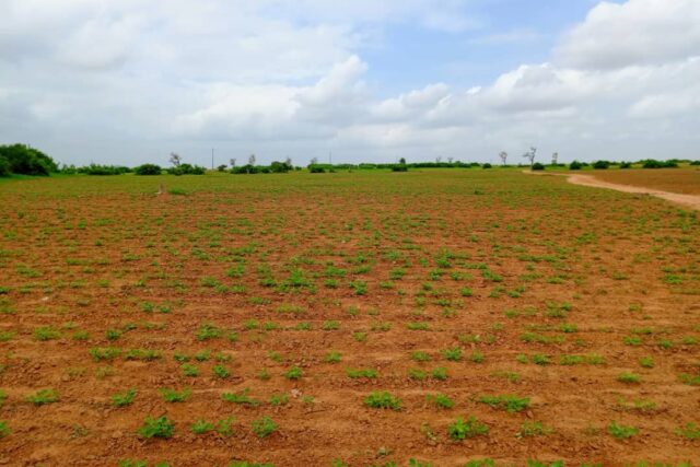 Terrain 7994 m² à Vendre — Notto Diobass, Thiès