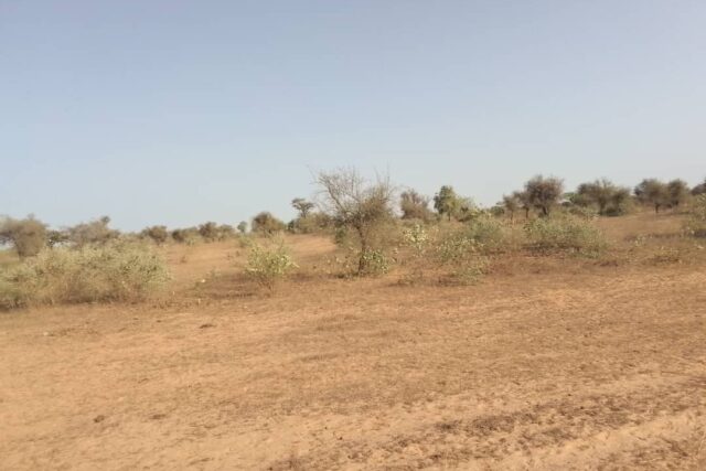 Terrain 6.112 m² à vendre – Thiénaba, Thiès