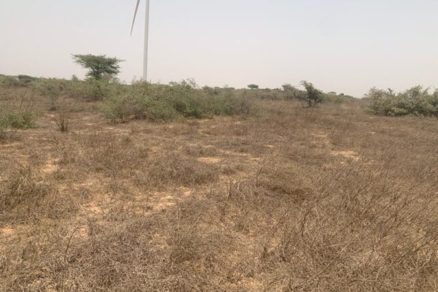 Terrain 9276 m² à Vendre — Taïba Ndiaye, Thiès