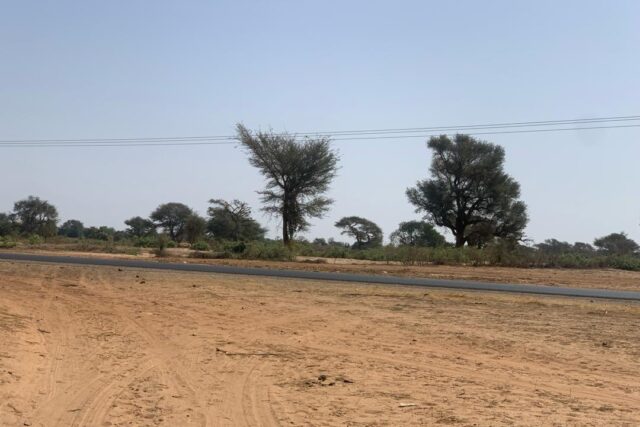 Terrain 6 ha Bord Route à Vendre — Touba Toul, Thiès