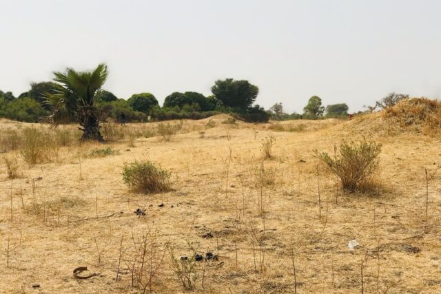 Terrain 8997 m² à Vendre — Fimela, Fatick