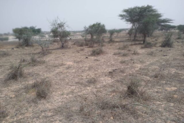 Terrain 9,22 ha à Vendre — Thieppe, Louga