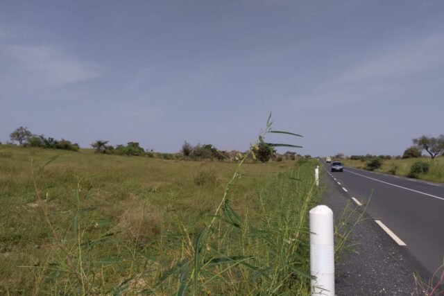Terrain 9869 m² Bord Route à Vendre — Thieppe, Louga