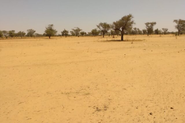 Terrain 6,47 ha à Vendre — Sagata, Louga