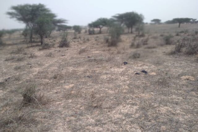 Terrain 9,22 ha à Vendre — Thieppe, Louga