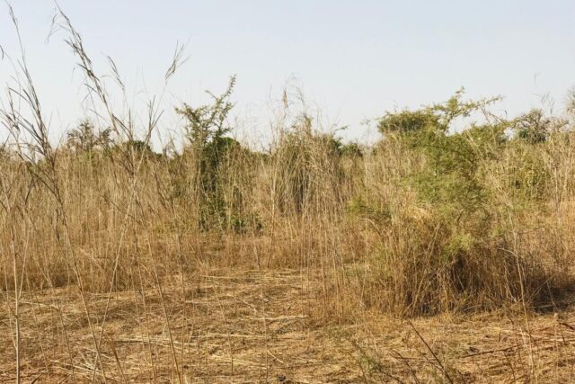 Terrain 8472 m² à Vendre — Chérif Lô, Thiès