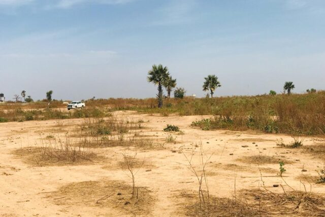 Propriété agricole 1,99 hectare à vendre – Notto Diobass, Thiès