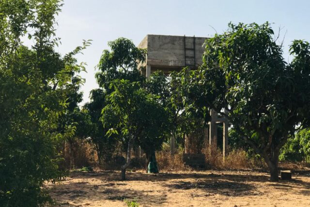 Ferme 3,70 hectares équipée à vendre – Diender, Thiès