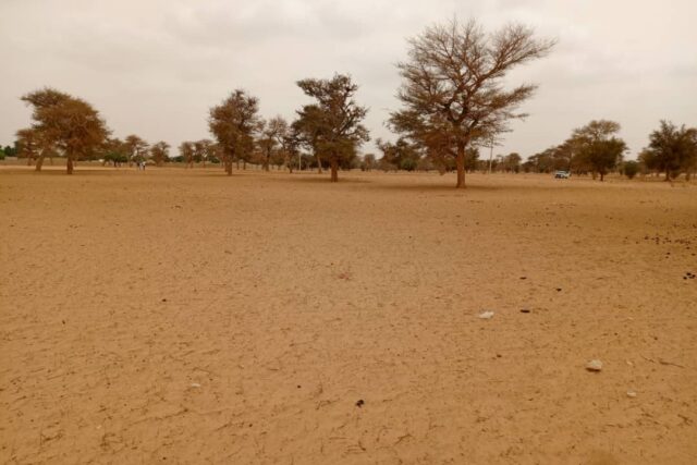 Terrain 7.130 m² à vendre à Touba Toul, Thiès