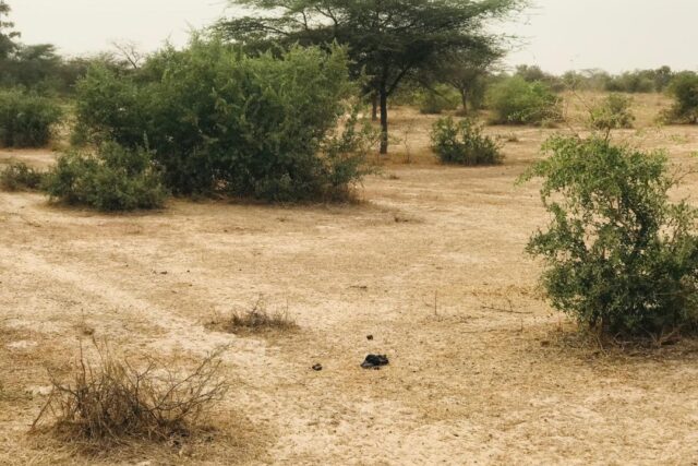 Terrain 9,25 ha à Vendre — Keur Samba Kane, Diourbel