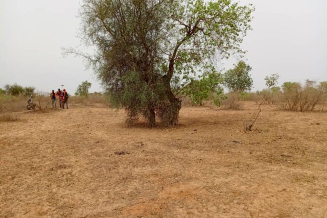 Propriété agricole 1,01 hectare à vendre – Thiénaba, Thiès