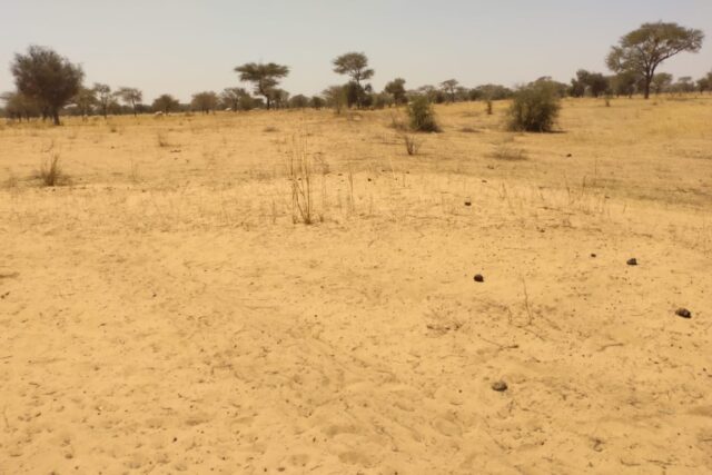 Terrain 6,47 ha à Vendre — Sagata, Louga