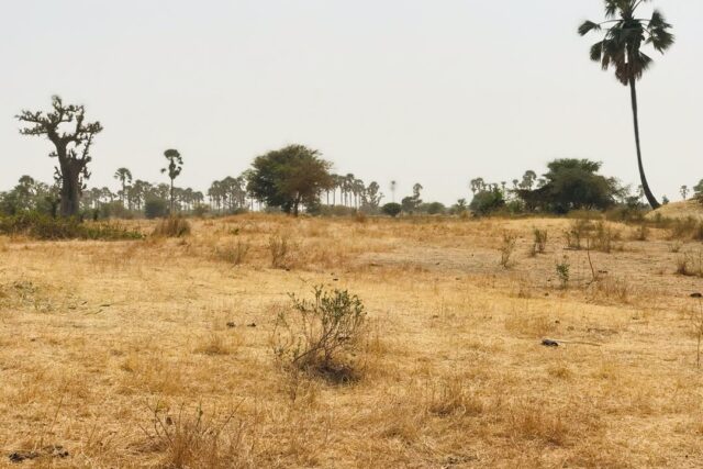 Terrain 8997 m² à Vendre — Fimela, Fatick