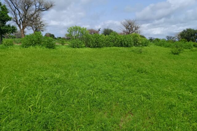 Terrain 8579 m² à Vendre — Notto Diobass, Thiès