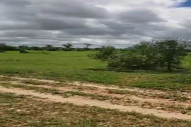 Terrain agricole 100 hectares à vendre – Koul, Thiès