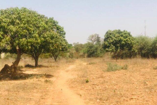 Ferme agropastorale 2,52 ha à vendre à Yene, Dakar