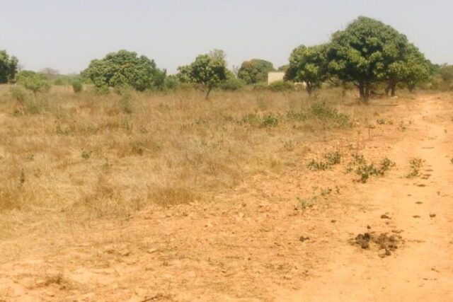 Ferme agropastorale 2,52 ha à vendre à Yene, Dakar