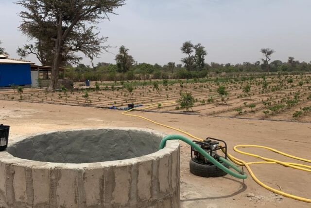Ferme 1,92 hectare équipée à vendre – Ndiaganiao, Thiès