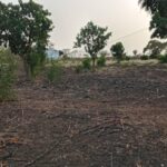 Ferme 21 hectares équipée à vendre – Keur Moussa, Thiès
