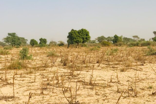 Propriété agricole 2,15 hectares à vendre – Méouane, Thiès