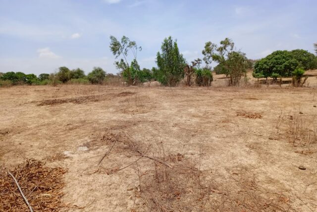 Terrain 6.751 m² à vendre – Notto Diobass, Thiès
