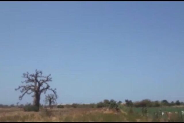Terrain 7 ha à vendre – Nguéniène, Thiès