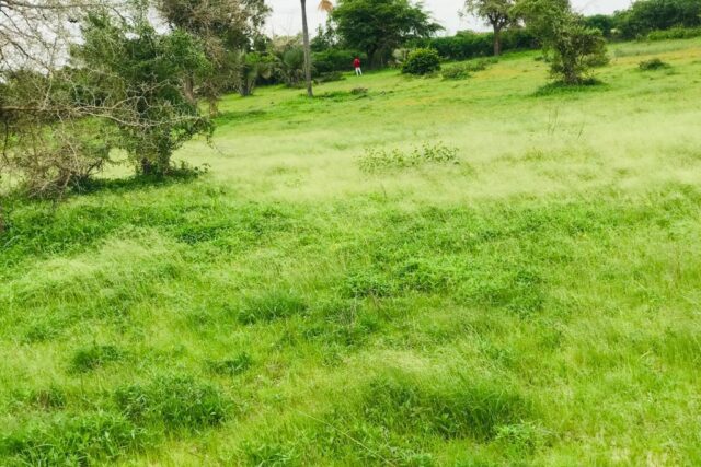Terrain 8079 m² à Vendre — Notto Gouye Diama, Thiès