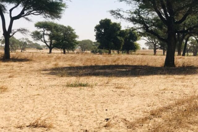 Propriété agricole 1,64 hectare à vendre – Tassette, Thiès
