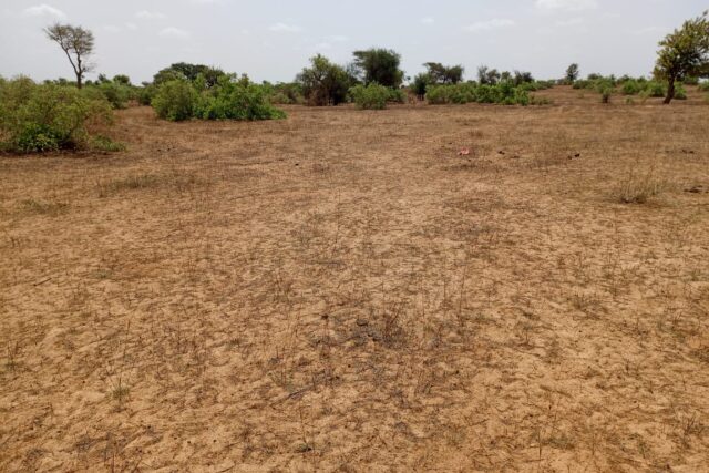 Terrain 6,61 ha à Vendre — Touba Toul, Thiès
