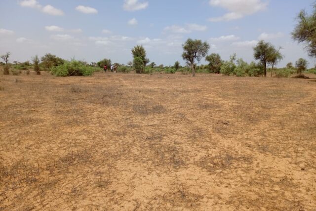 Terrain 6,61 ha à Vendre — Touba Toul, Thiès