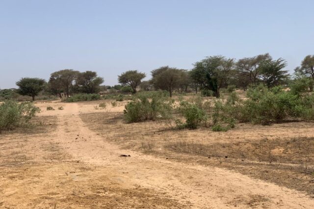 Terrain 7842 m² à Vendre — Notto Diobass, Thiès