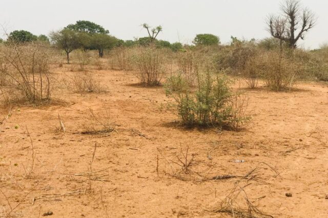 Terrain 9061 m² à Vendre — Sindia, Thiès