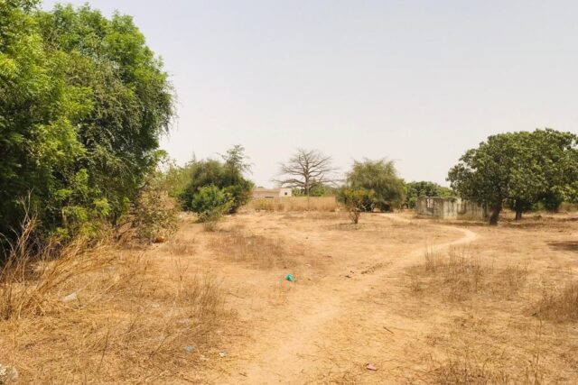 Verger Fruitier 2,25 ha à vendre – Notto Diobass, Thiès