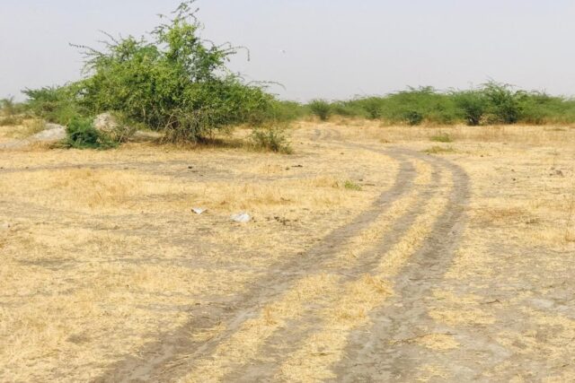 Terrain 9115 m² à Vendre — Nguéniène, Thiès