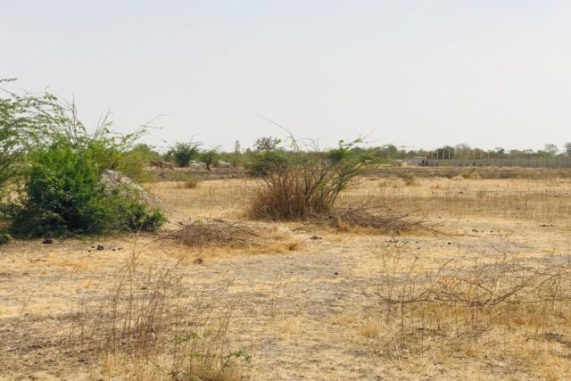 Terrain 9115 m² à Vendre — Nguéniène, Thiès