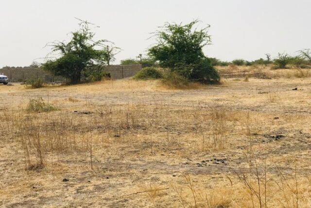 Terrain 9115 m² à Vendre — Nguéniène, Thiès