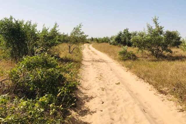 Terrain 7662 m² à Vendre — Thiénaba, Thiès