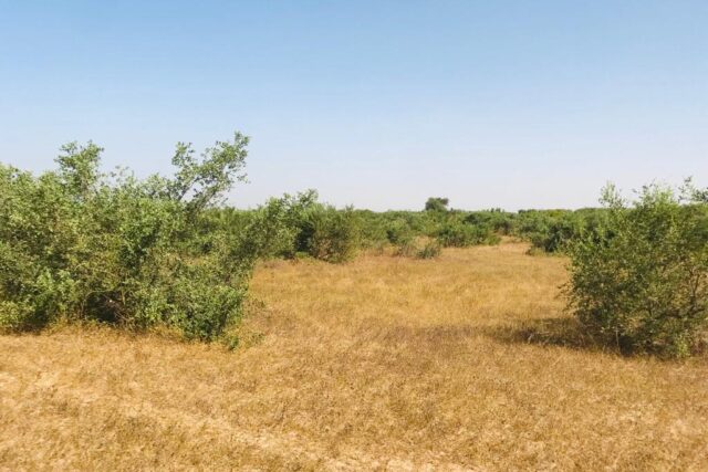 Terrain 7662 m² à Vendre — Thiénaba, Thiès