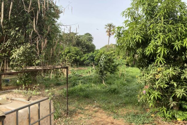 Ferme avicole 7932 m² équipée à vendre – Sébikotane, Dakar