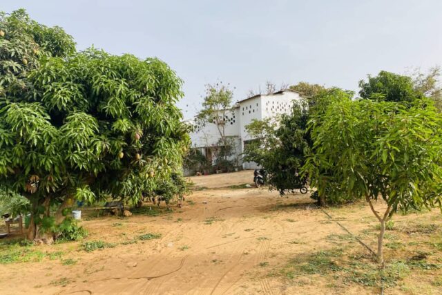 Ferme avicole 7932 m² équipée à vendre – Sébikotane, Dakar