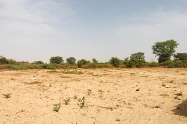 Verger agricole 2 hectares à vendre – Fissel, Thiès