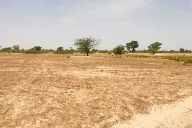 Verger agricole 2 hectares à vendre – Fissel, Thiès